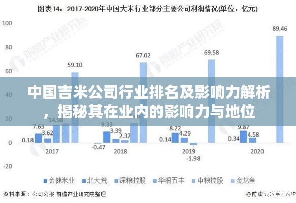 中国吉米公司行业排名及影响力解析，揭秘其在业内的影响力与地位